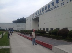 绿之健药业22米