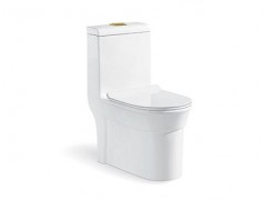 FA-193坐便器系列图1