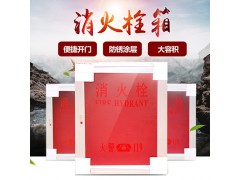 前铝后钢板室内外消火栓图2