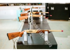 狩猎射击游艺机  游乐设备图3