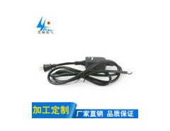 漏电保护插头厂家供应美式二芯漏保插头 专业定做 可出口