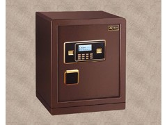 龙峰BGX-M/D-45Z保险箱图2
