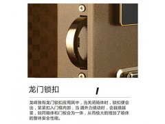 龙峰FDX-A/D-45Ⅱ保险箱 自设密码式图3