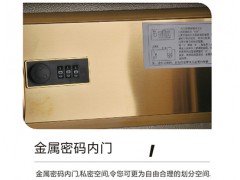 龙峰FDG-A1/D-53Ⅱ保险箱 贵重物品图3
