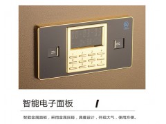 龙峰FDG-A1/D-63Ⅱ保险箱 贵重物品图3