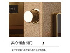 龙峰FDG-A1/D-100Ⅱ保险箱 贵重物品图3