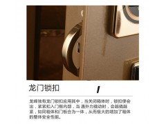 龙峰FDX-A/D-42B保险箱图3