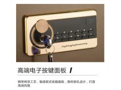 龙峰FDG-A1/D-70B保险箱图2