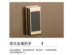 龙峰 FDG-A1/D-60B保险箱图2