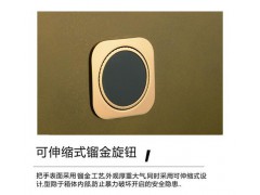 龙峰DFX-A/D-45A保险箱图3
