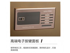 龙峰FDG-A1/D-55A保险箱图2