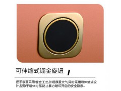 龙峰FDX-A/D-35ZⅡ保险箱 自设密码式图3