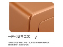 龙峰 FDX-A/D-30ZⅡ保险箱图2