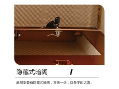 龙峰FDG-A1/D-55ZⅡ保险箱图3