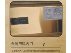 龙峰FDX-A1/D-100II保险箱图3