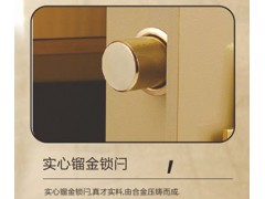 龙峰FDX-A1/D-150II保险箱图3
