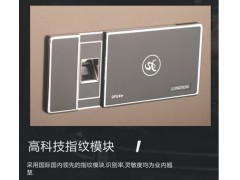龙峰FDX-A/D-30ZII保险箱图3