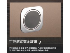 龙峰FDX-A1/D-75ZII保险箱图3