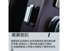 龙峰BGX-5/D1-120保险箱图3