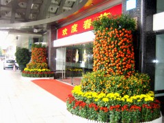 宁波绿植租赁 热线：1