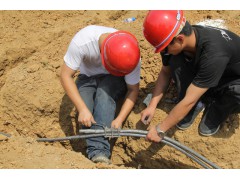 Φ20mmΦ28mm石墨基柔性接地材料装置接地体图2