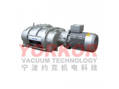 NB1200B 380V50HZULVAC爱发科真空图2