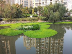 生态浮岛图2