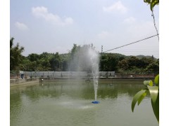 高喷曝气机图2