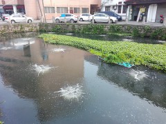 曝气盘图2