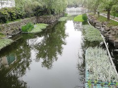 生态浮岛 咨询热线：13736125069图2