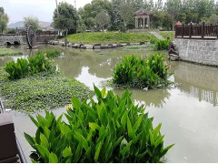 生态浮岛图2