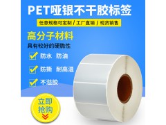 亚银PET不干胶标签纸图2