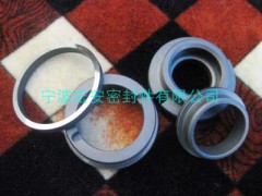 碳化硅密封环图3