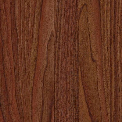 北美胡桃局部图3