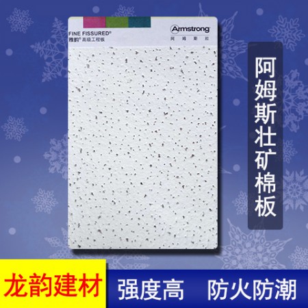 阿姆斯壮矿棉板图2