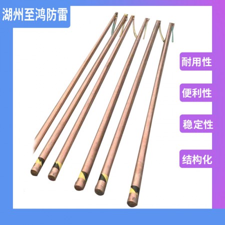 离子接地棒图2