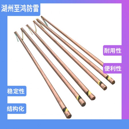 电解离子接地棒图3