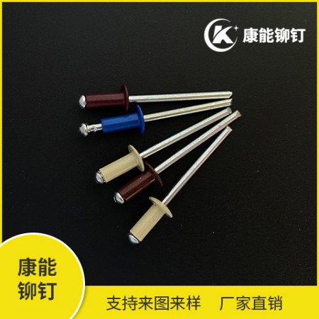 烤漆抽芯铆钉