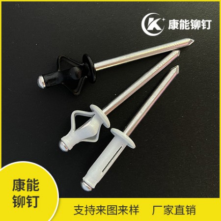 烤漆灯笼铆钉