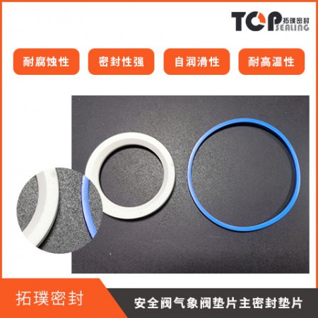 安全阀气象阀垫片主密封垫片图3