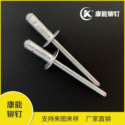 双鼓铆钉厂家直销品质保障 咨询热线13738803808