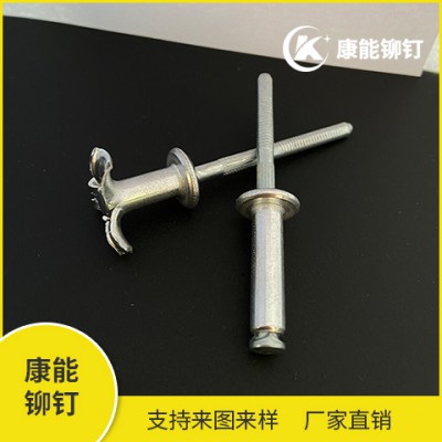 汽车拉花铆钉 厂家直供 定购热线13738803808