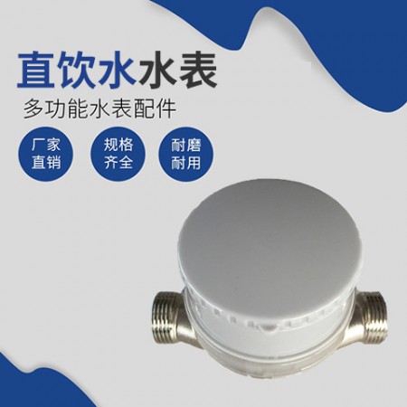 直饮水水表厂家
