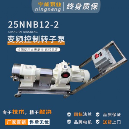 变频控制转子泵图2