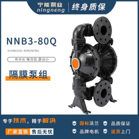 塑料隔膜泵图3
