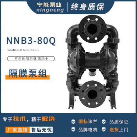 不锈钢隔膜泵图2