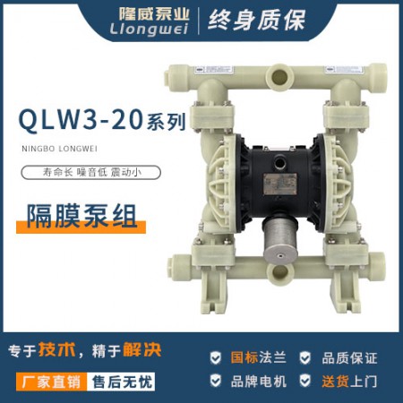 塑料隔膜泵图2
