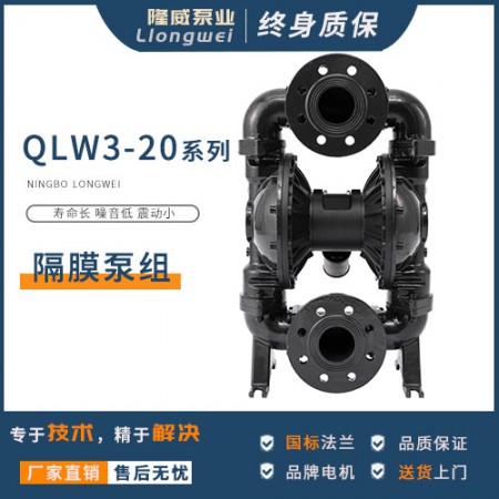 不锈钢隔膜泵图2