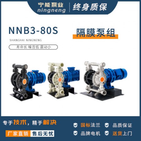 电动隔膜泵图2
