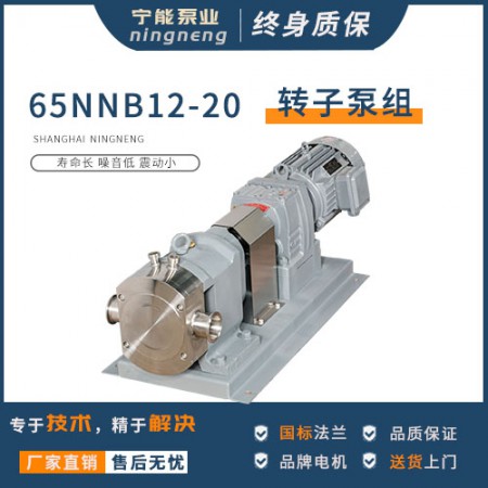 保温式转子泵图2